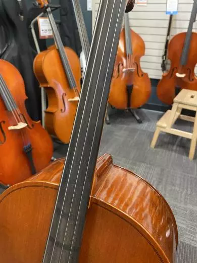 Schoenbach 4/4 Cello 2